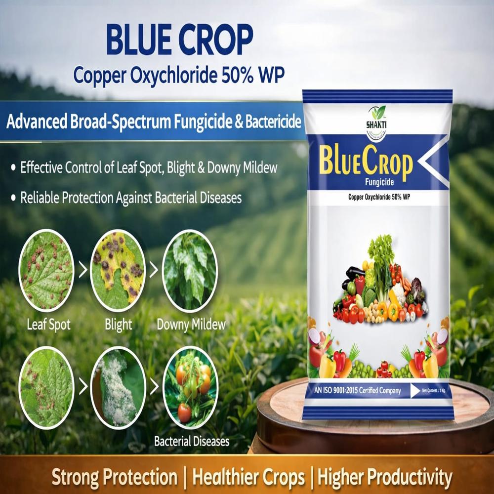 Copper Oxicloride 50% - Application: Sprey
