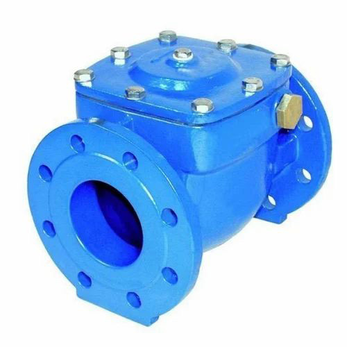 Blue Cast Iron Check Valve