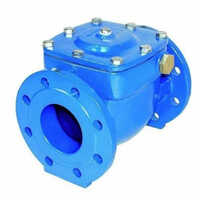 Blue Cast Iron Check Valve