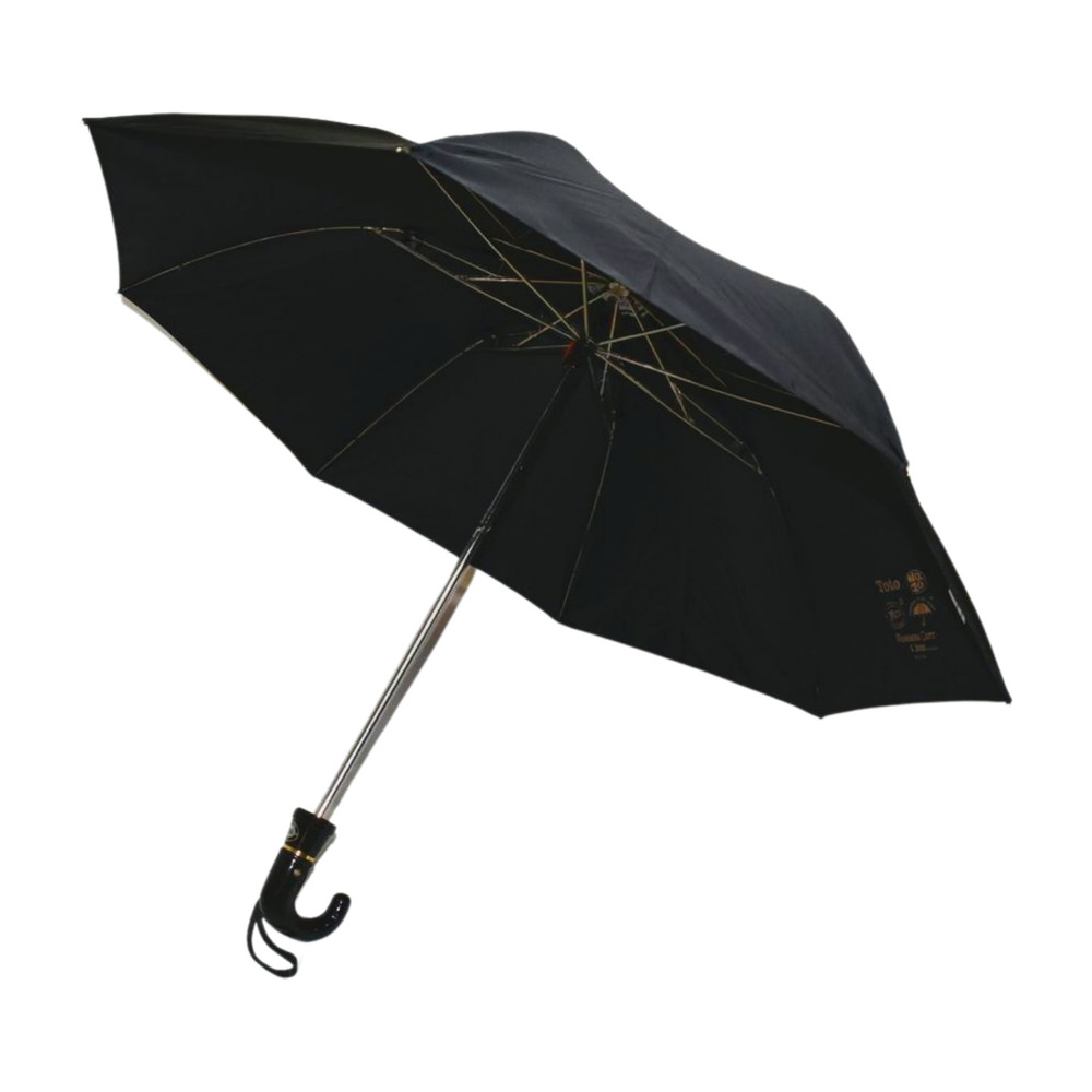 2 Fold 21 Inches Black Nylon Umbrella
