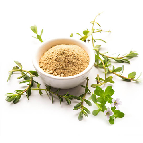 Bacopa Monnieri Extract