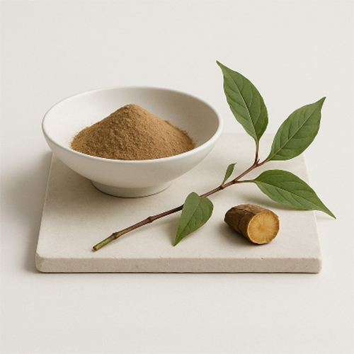 Polygonum Cuspidatum Extract