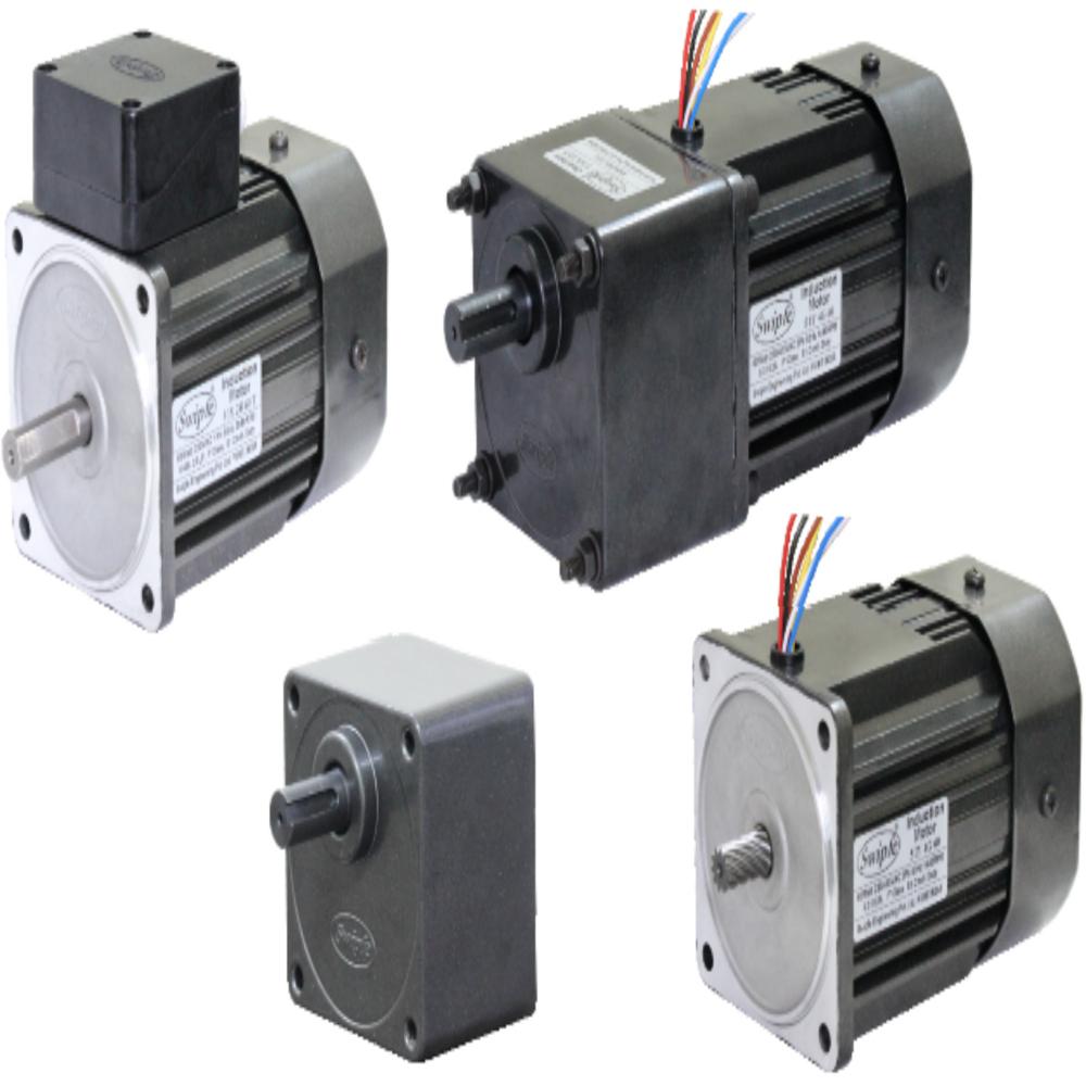 60 W induction FHP Motor