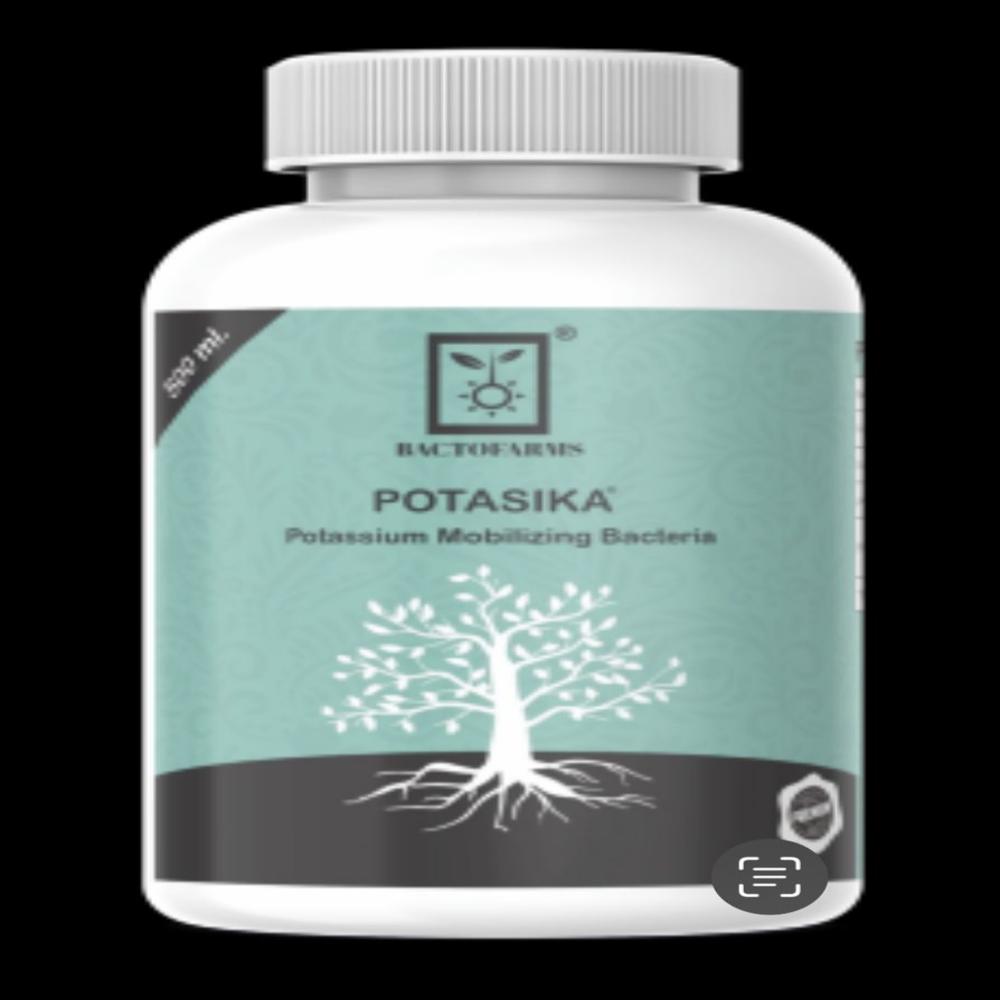 Potassium Solubalizing Bacteria Bio Fertilizer
