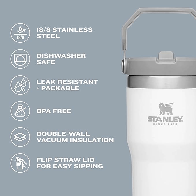 Stainless Steel Vacuum Insulated Tumbler with Caribiner Handle and Lid (900 ml)