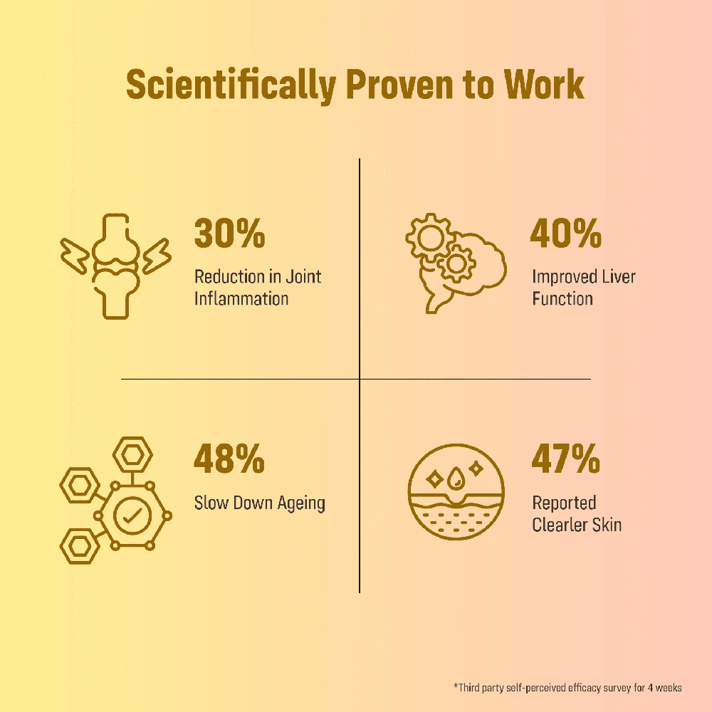 Cucumin Active Anti-inflammatory - Purity: 95%