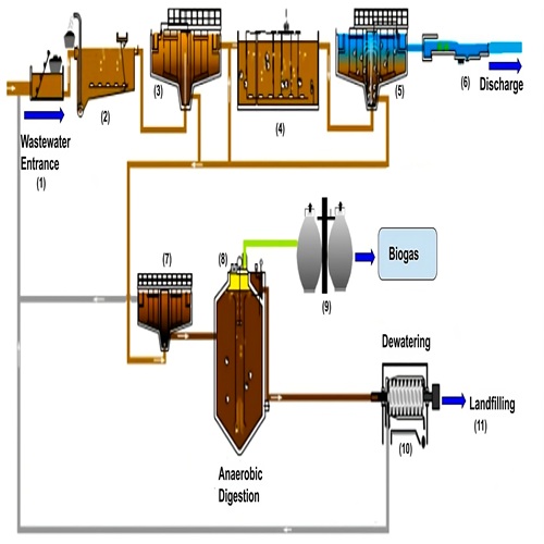Sludge Treatment And Dewatering
