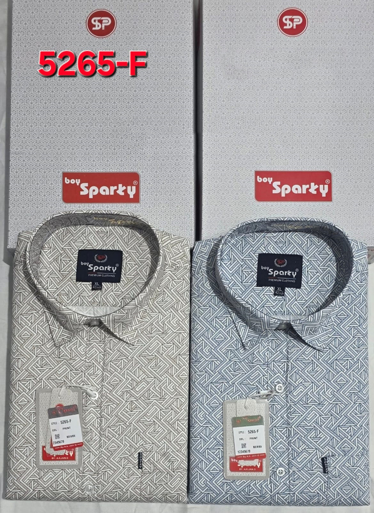 Regular Fit Traditional Shirt