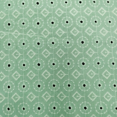 AS-17056 Schiffli Embroidery Fabric