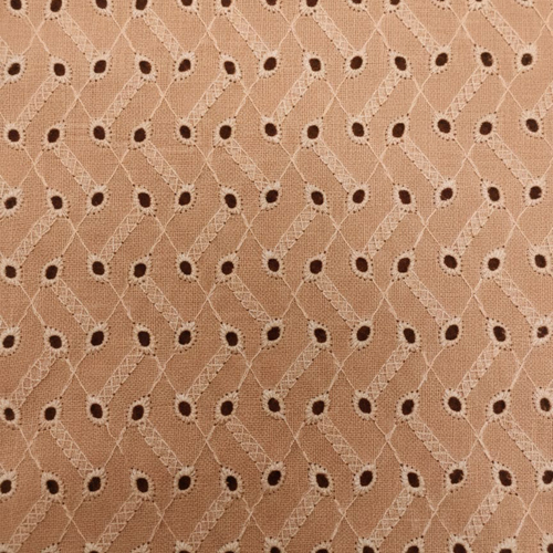 AS-17143 Schiffli Embroidery Fabric