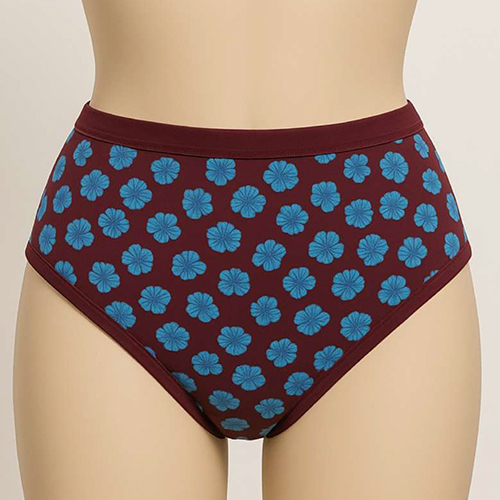 Ladies Special Panty