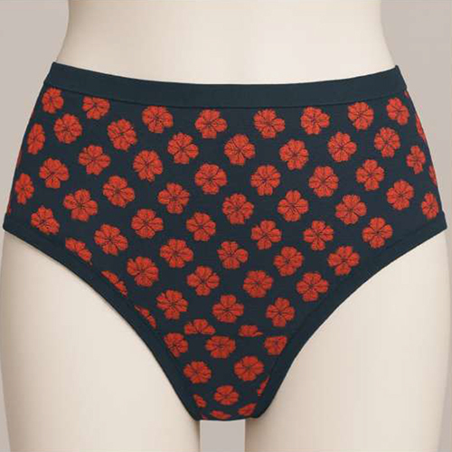 Ladies Special Panty