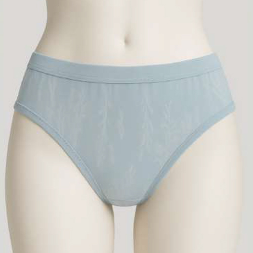 Ladies Soft Touch Panty