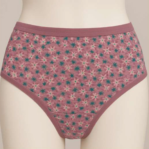 Ladies Nisha Panty