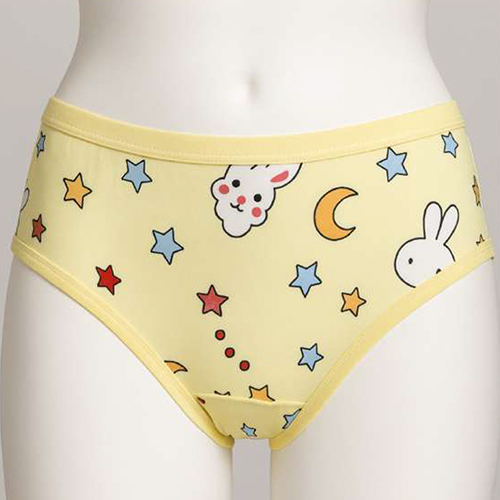 Ladies Twinkle Panty