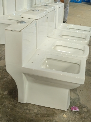 one piece toilet 111no.