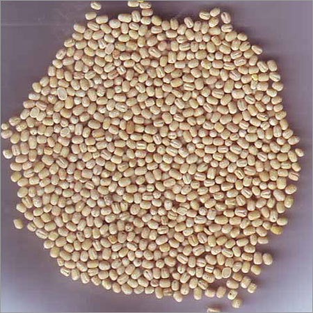 Urad Dal Gota