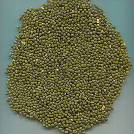 Green Mung Bean