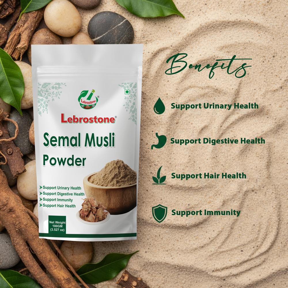 Lebrostone Semal Musli Powder | Herbal Support for Urinary Health, Digestion & Immunity |(100g)