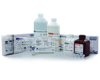 MAGLUMI CMV IgG (CLIA)