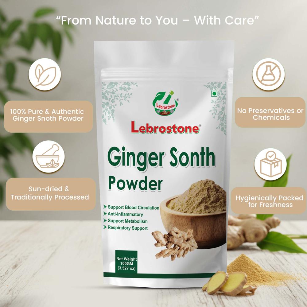 Lebrostone Ginger Sonth Powder Digestive & Metabolism Support, Immunity Booster, Cold & Cough Relief(100g)