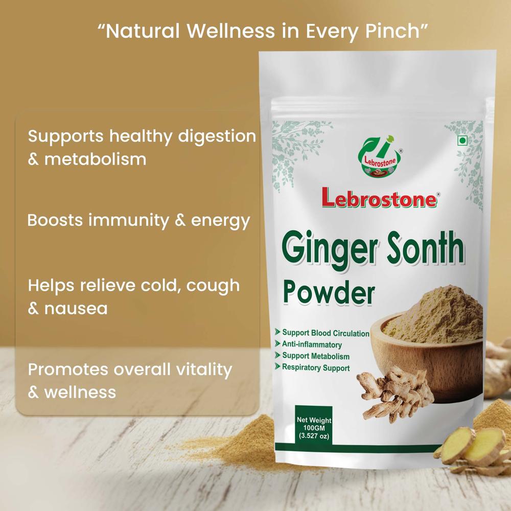 Lebrostone Ginger Sonth Powder Digestive & Metabolism Support, Immunity Booster, Cold & Cough Relief(100g)