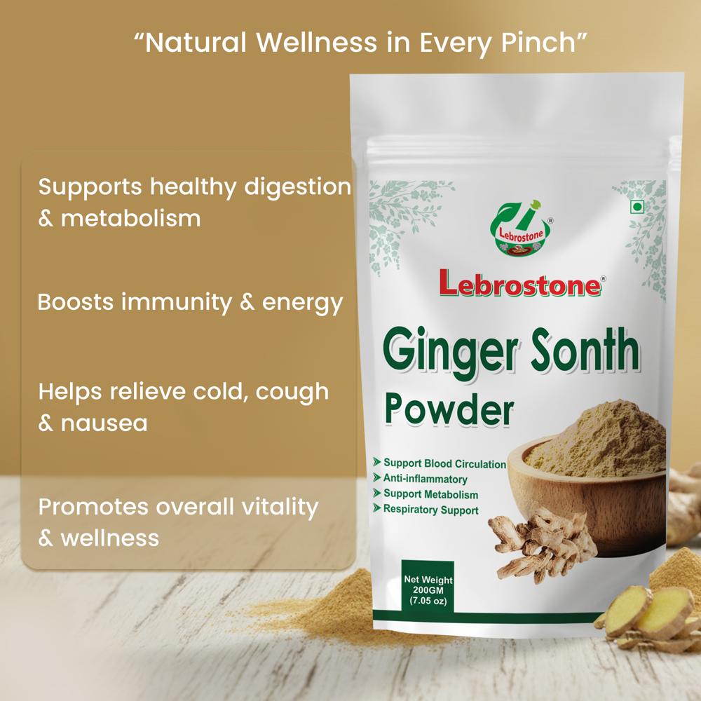Lebrostone Ginger Sonth Powder  Digestive & Metabolism Support, Immunity Booster, Cold & Cough Relief(200g)