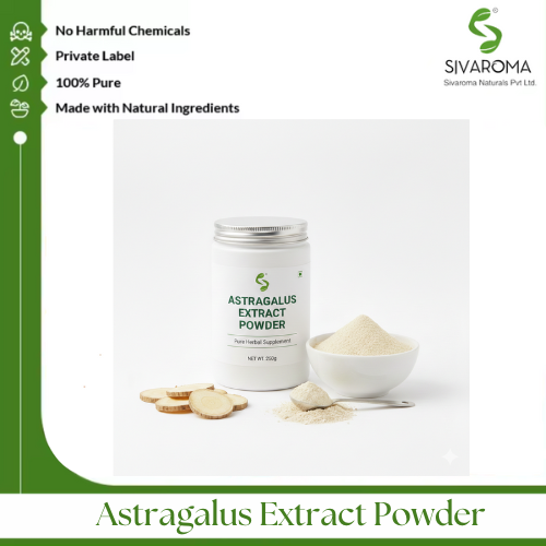 Astragalus Extract Powder