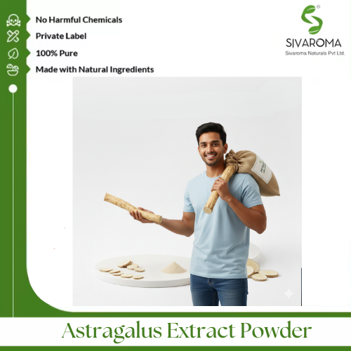 Astragalus Extract Powder - Color: Light Brown To Brown