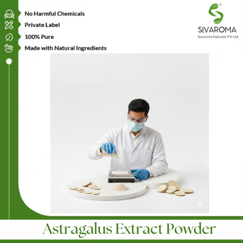 Astragalus Extract Powder - Color: Light Brown To Brown