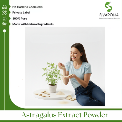Astragalus Extract Powder - Color: Light Brown To Brown