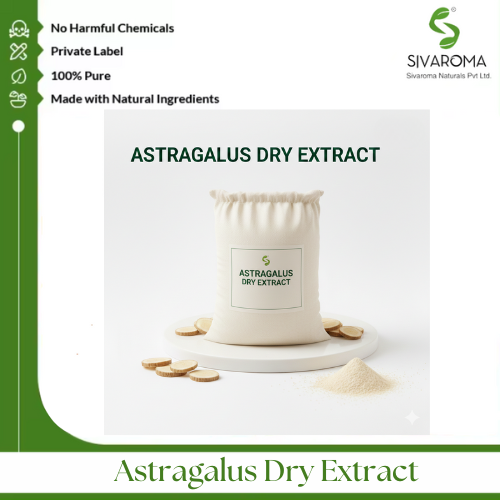 Astragalus Dry Extract