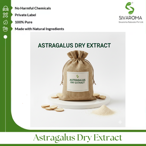 Astragalus Dry Extract - Shelf Life: 1 Years
