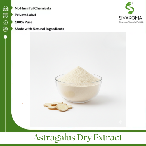 Astragalus Dry Extract - Shelf Life: 1 Years