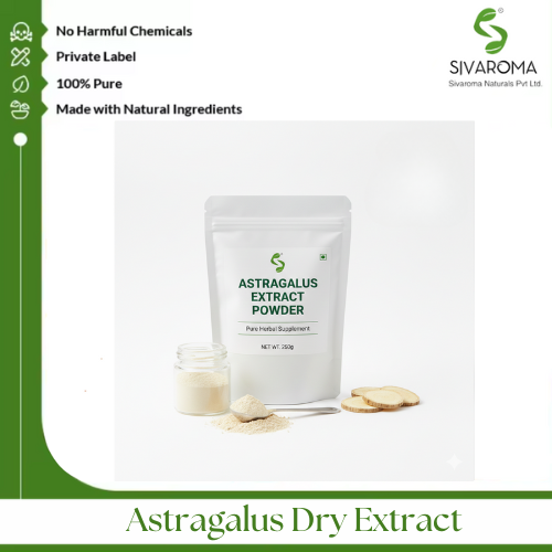 Astragalus Dry Extract - Shelf Life: 1 Years