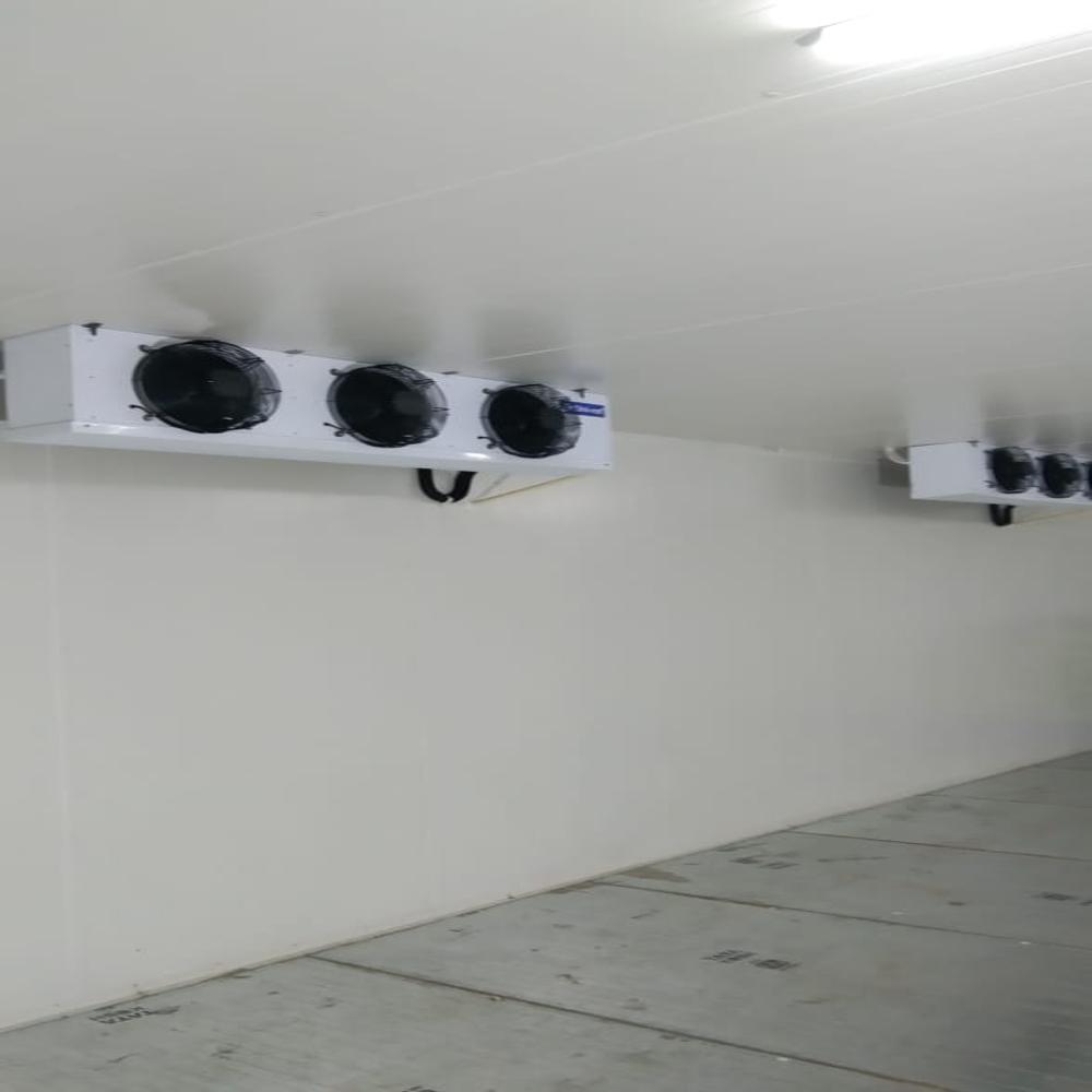 Mushroom Growing Chamber