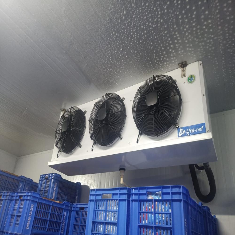 Fruit Ripening Chamber - Capacity: 12 Ton Ton