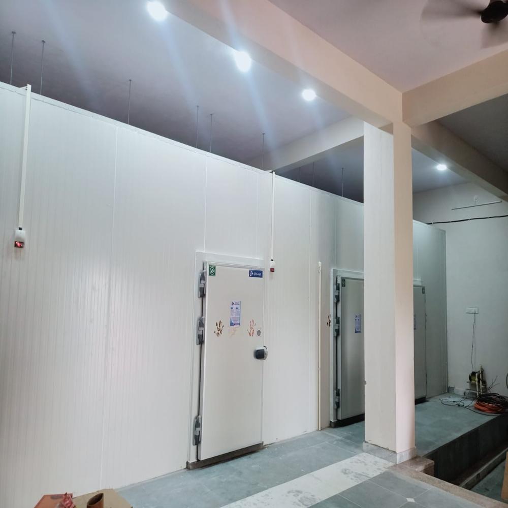 Banana Ripening Chamber