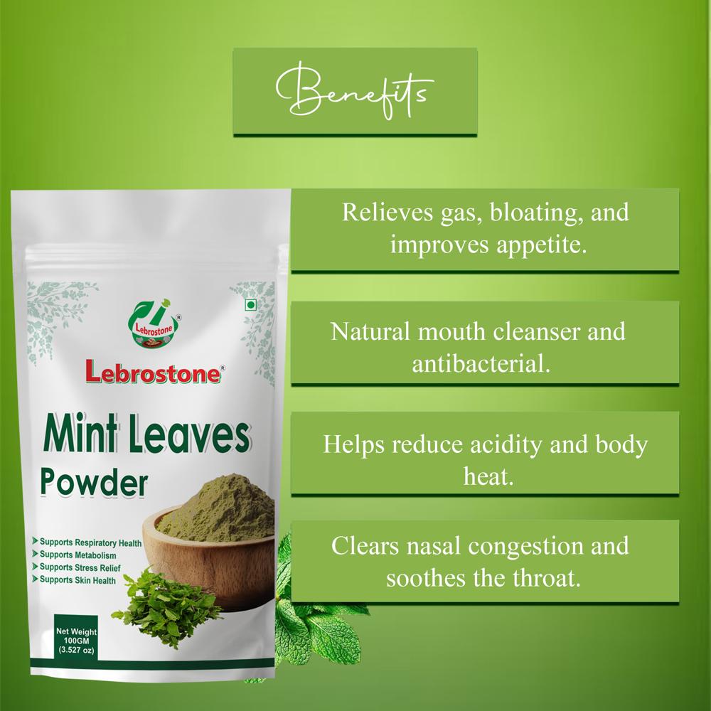 Lebrostone Mint Leaves Powder  Natural Remedy for Bloating, Acidity, Nasal Congestion & Throat Comfort(100g)