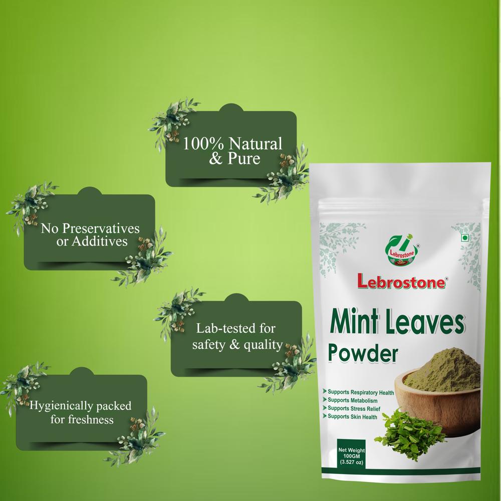 Lebrostone Mint Leaves Powder  Natural Remedy for Bloating, Acidity, Nasal Congestion & Throat Comfort(100g)