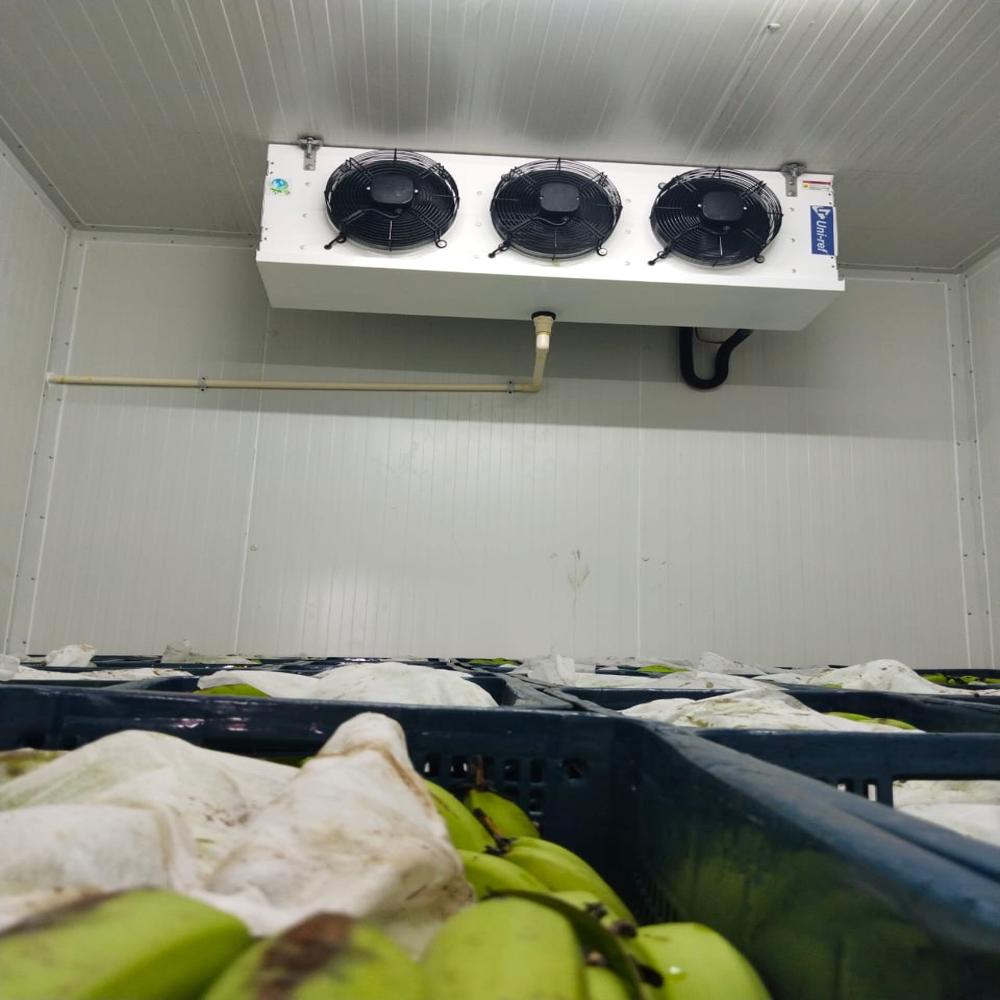 2 Ton Cold Storage Room - Climate Type: Summer