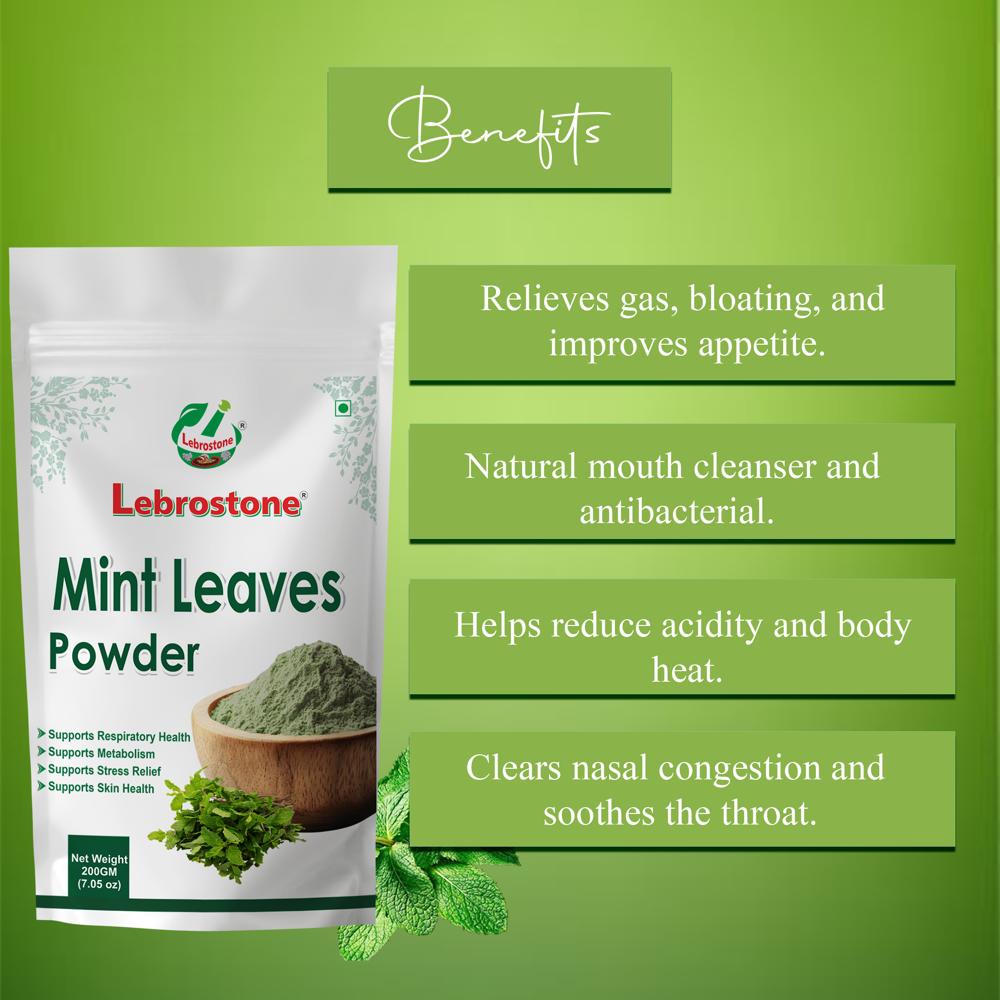 Lebrostone Mint Leaves Powder  Natural Remedy for Bloating, Acidity, Nasal Congestion & Throat Comfort(200g)