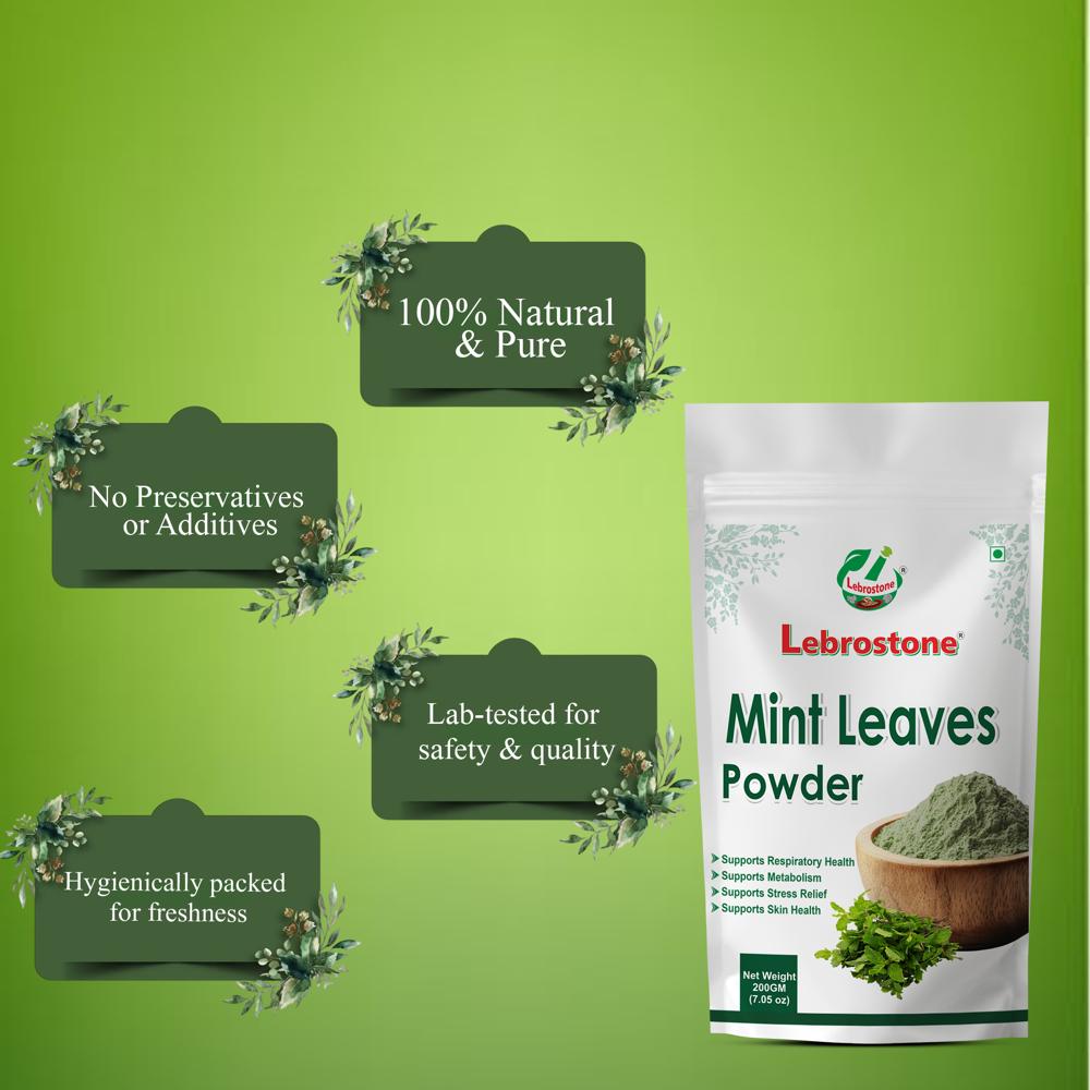 Lebrostone Mint Leaves Powder  Natural Remedy for Bloating, Acidity, Nasal Congestion & Throat Comfort(200g)