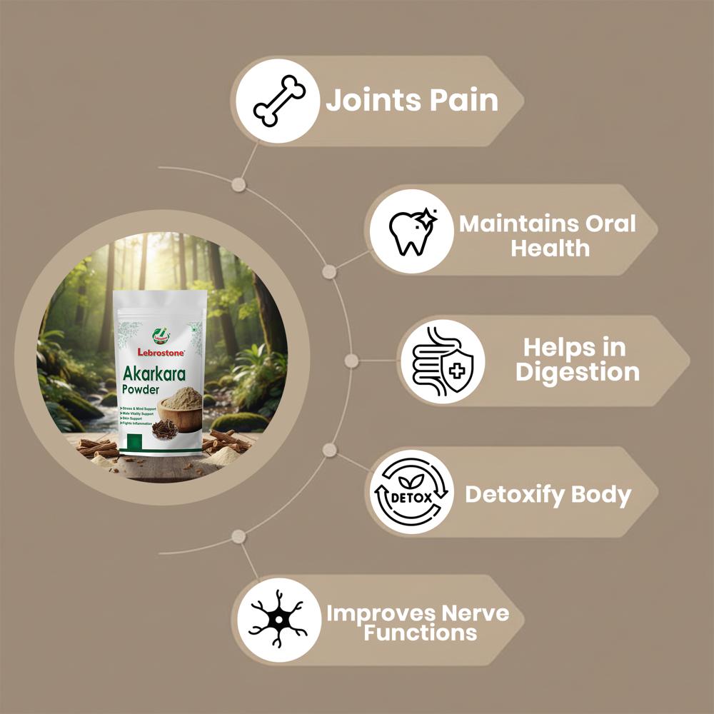 Lebrostone Akarkara Powder | Supports Joint Comfort, Digestion, Oral Care & Detox|200g