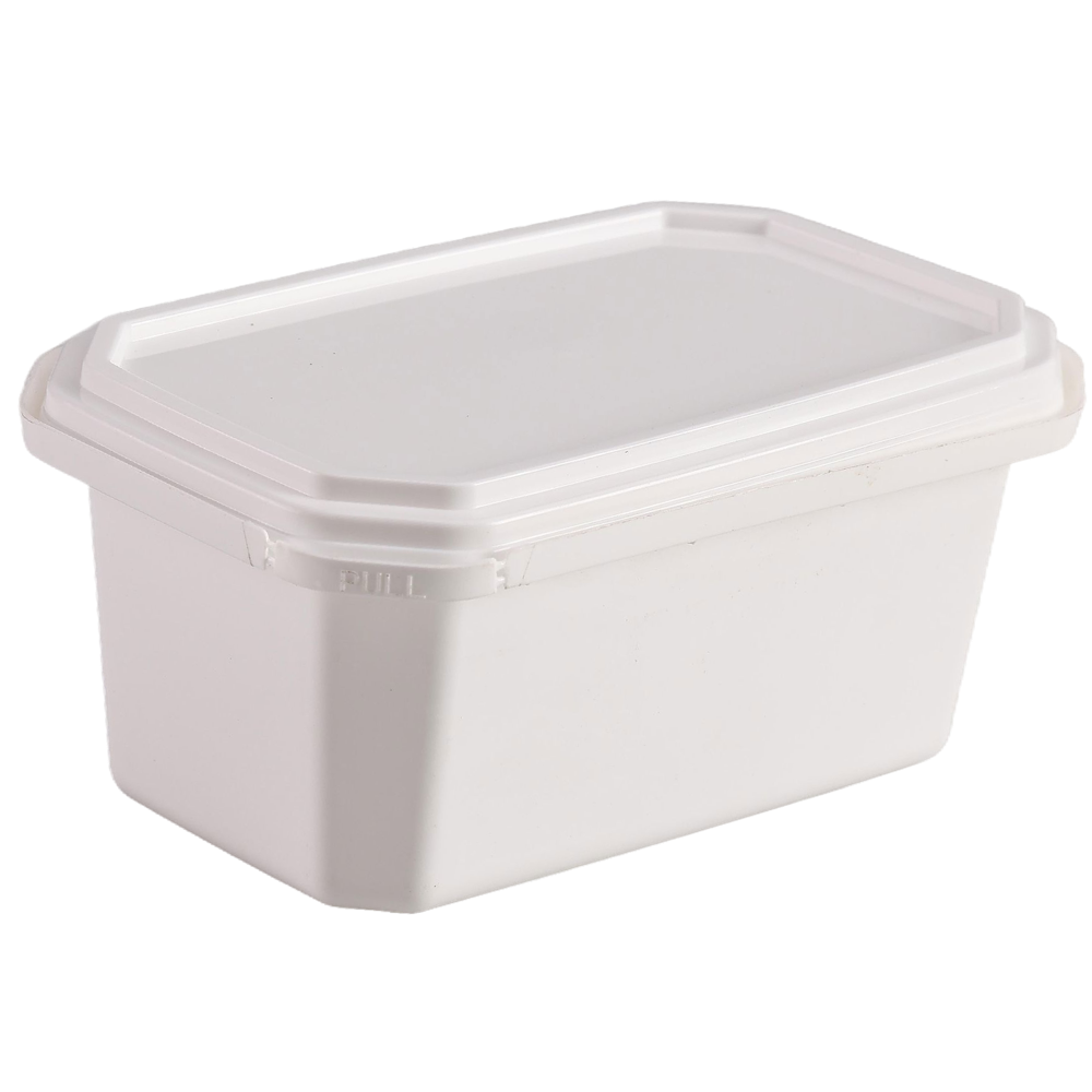 500 gm hexa container plain