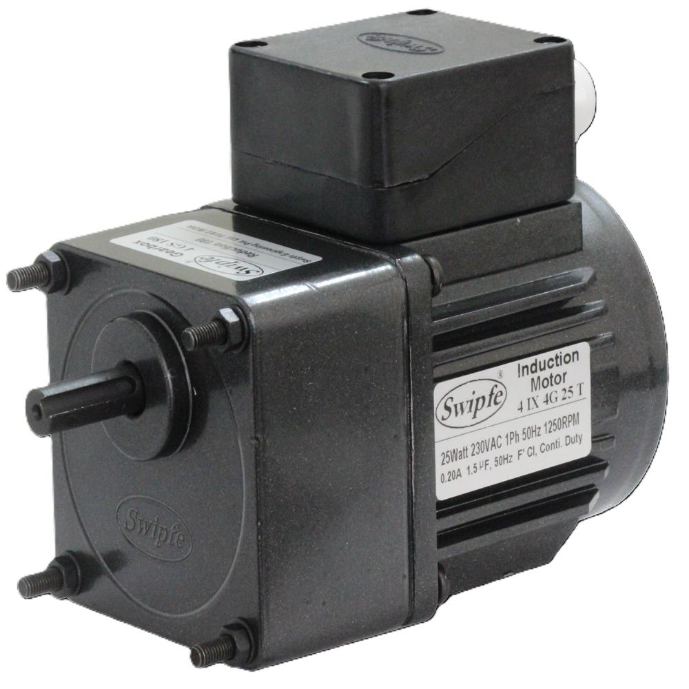 Induction Gear Motor 25 Watt