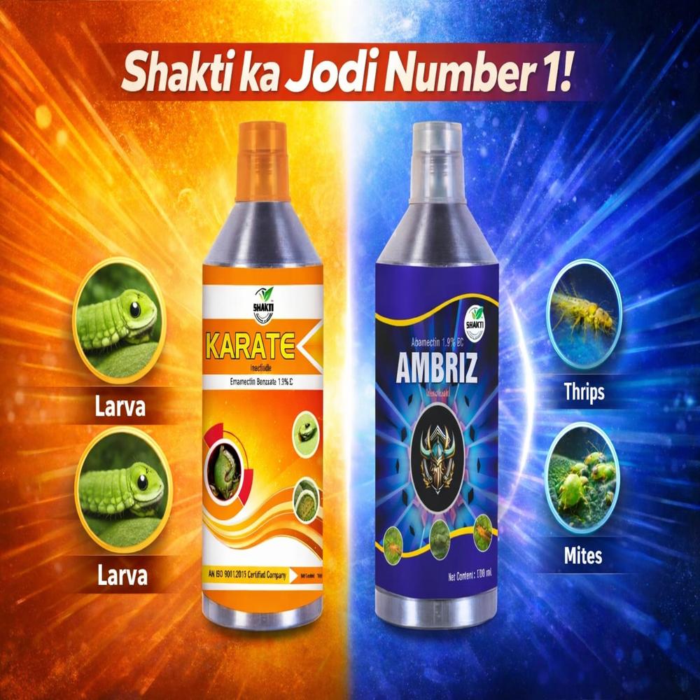 Cartap Hydrochloride 50 SP (CAPTAN)