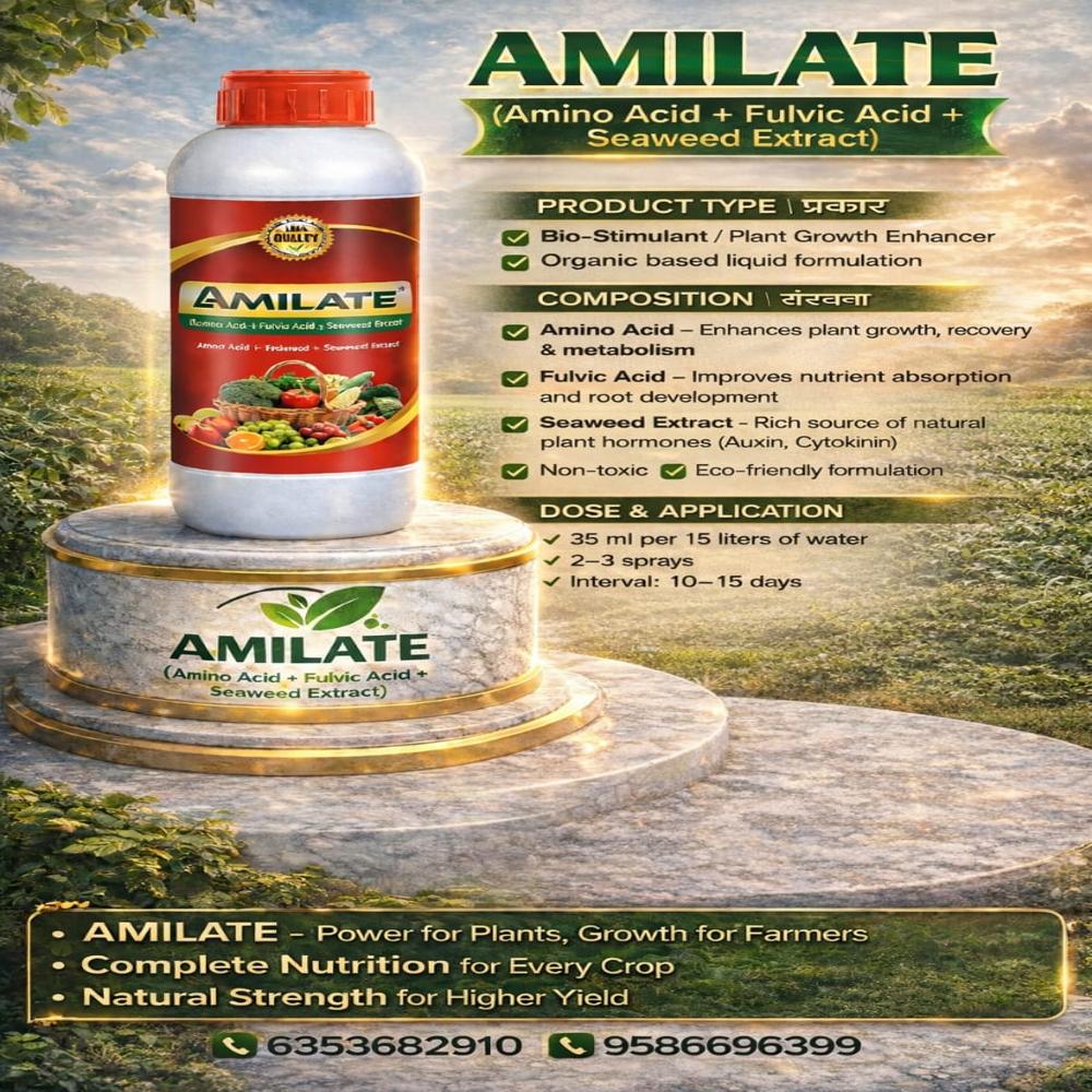 Cartap Hydrochloride 50 SP (CAPTAN)