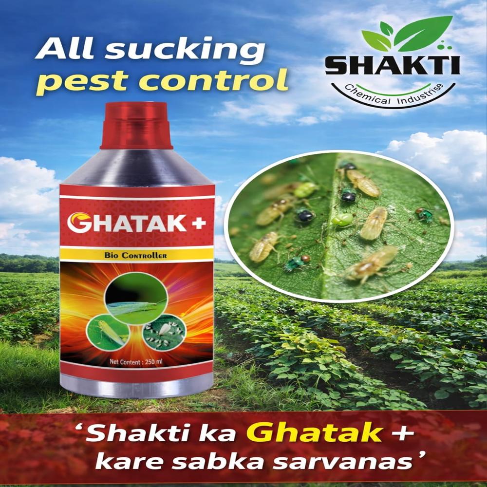 Cartap Hydrochloride 4 Gr