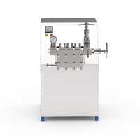 500 Lph Homogenizers Machines - Color: Silver